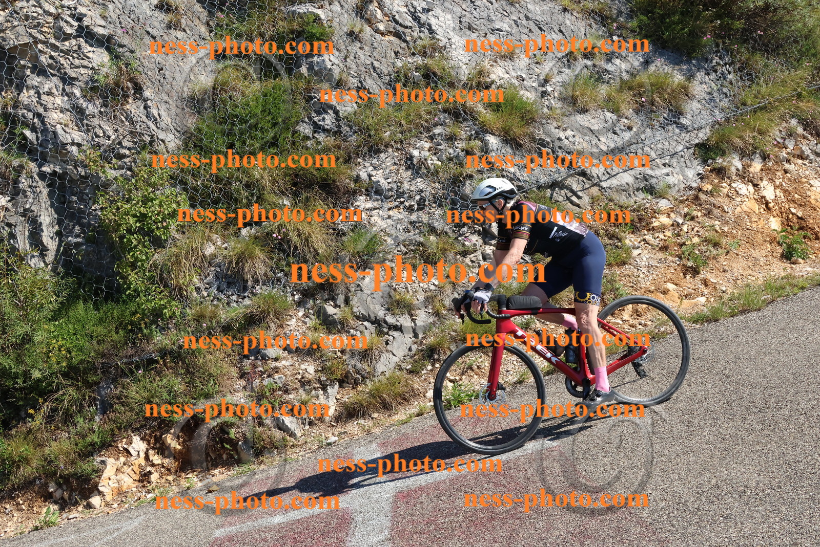 Col du Grand Colombier (296).JPG