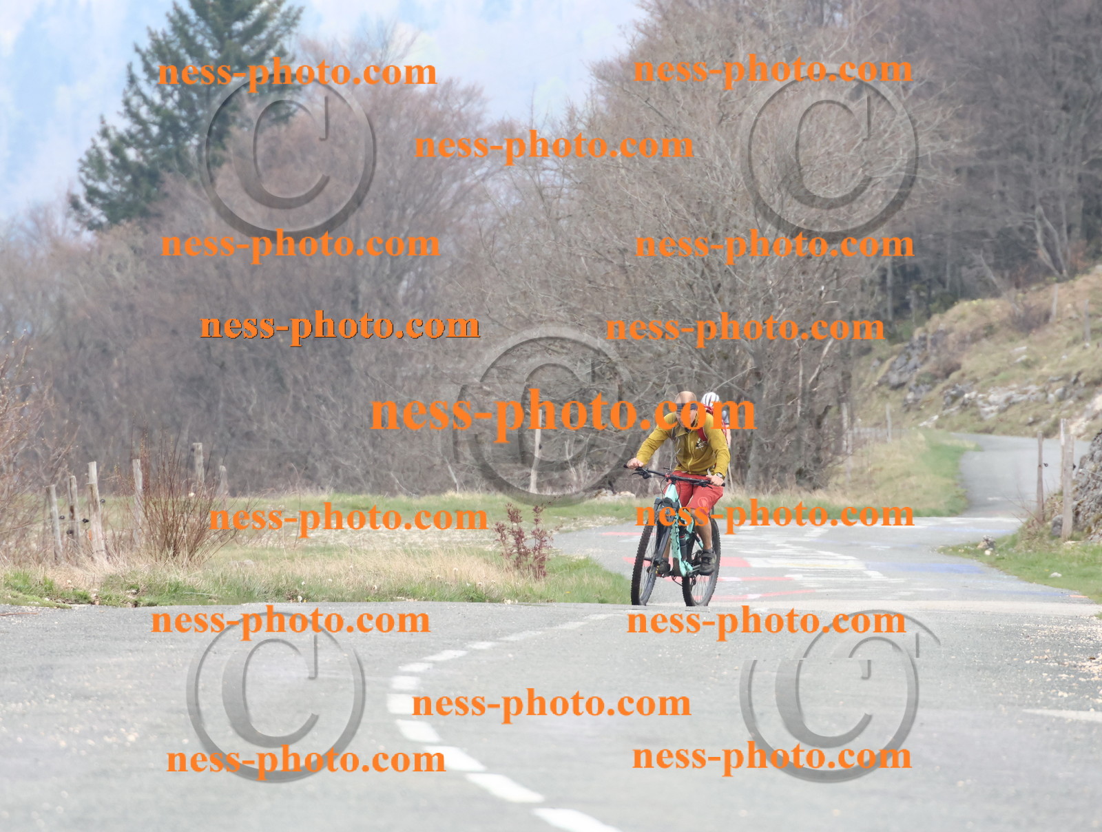 Col du Grand Colombier (74).JPG