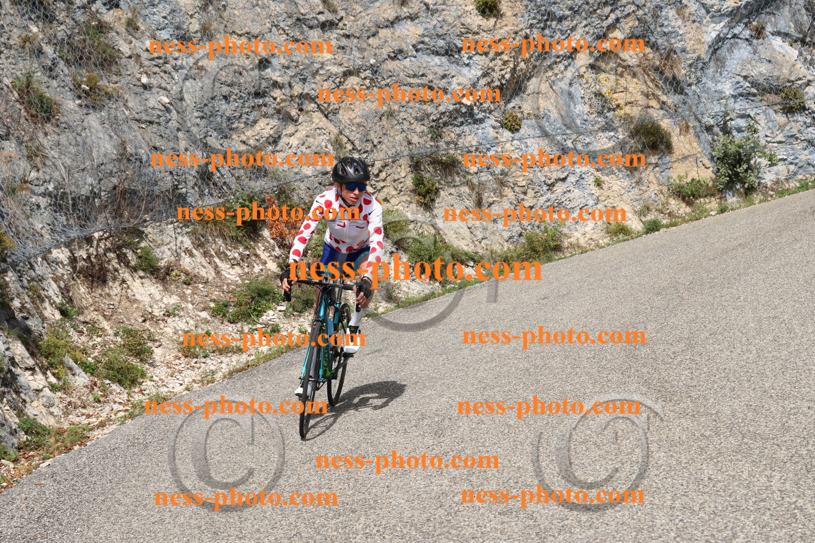 Col du Grand Colombier (595).JPG