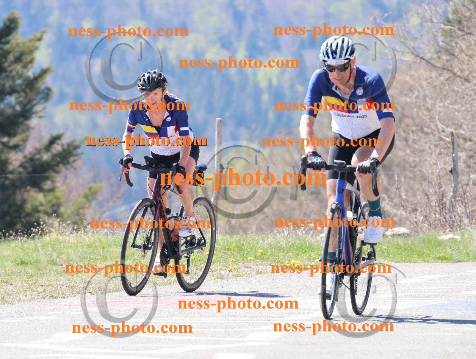 Col du Grand Colombier (134).JPG