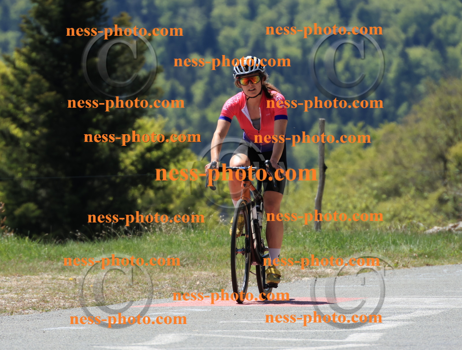 Col du Grand Colombier (162).JPG