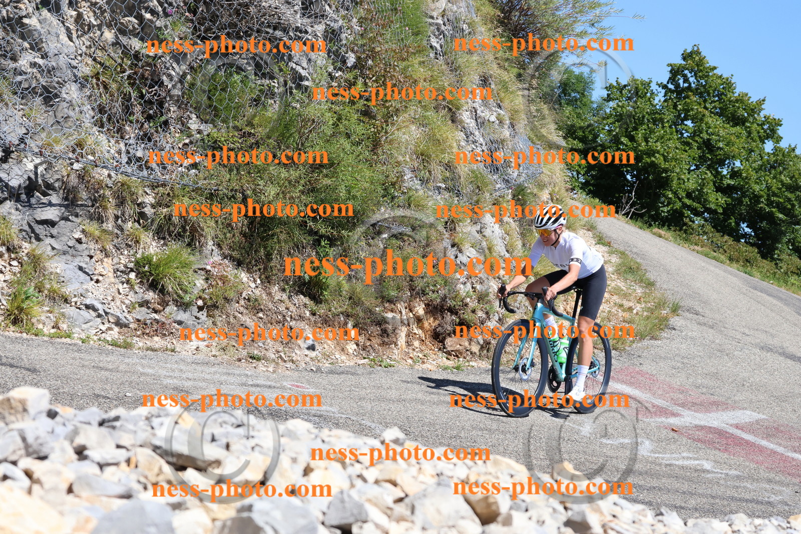 Col du Grand Colombier (193).JPG