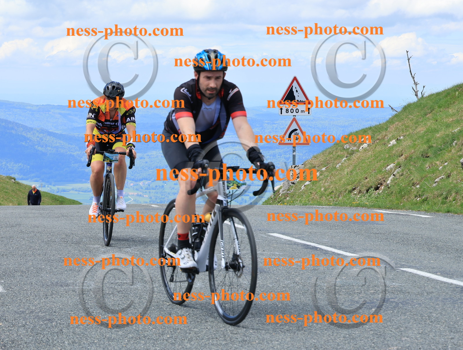 Col du Grand Colombier (2878).JPG