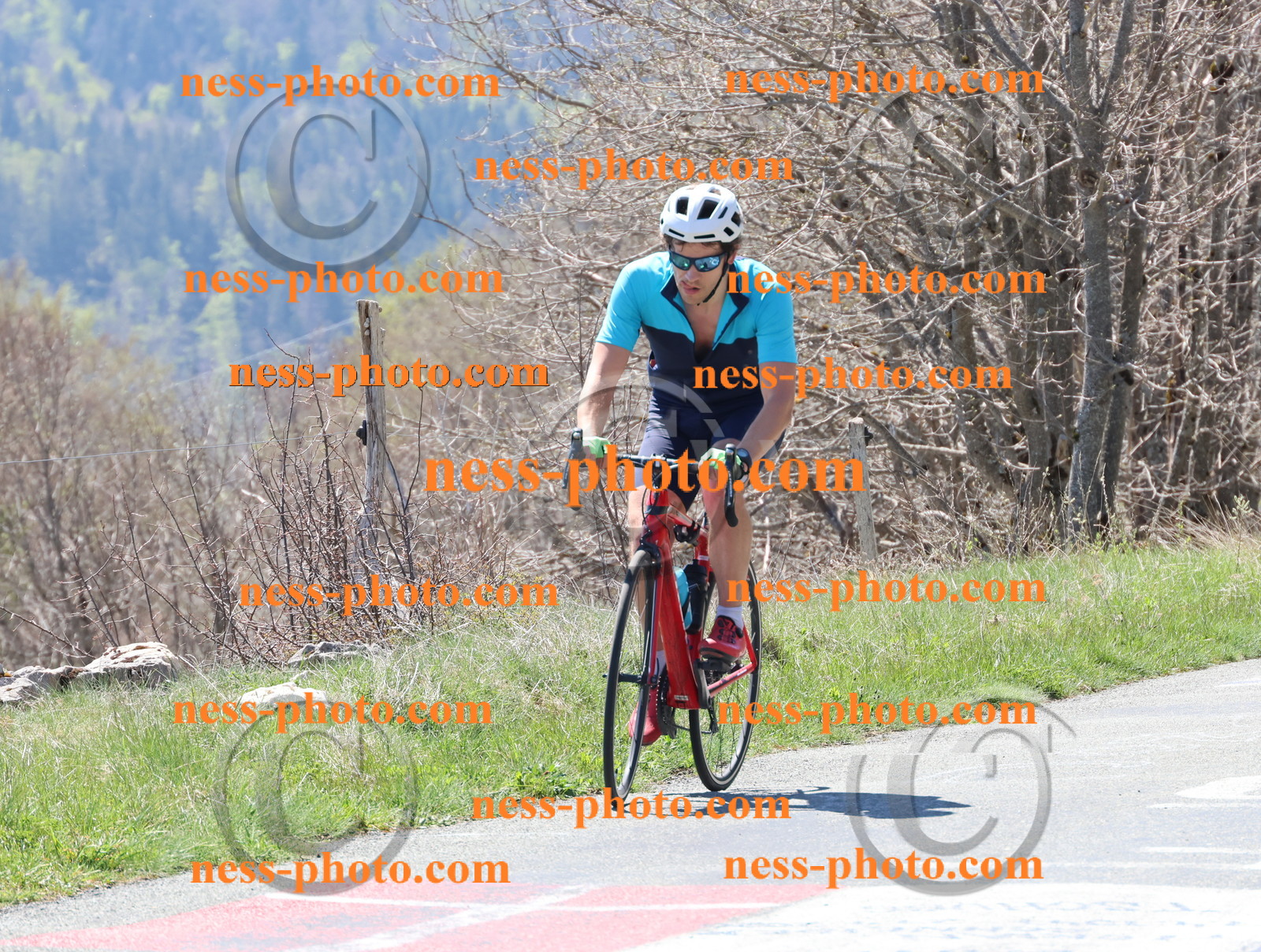 Col du Grand Colombier (319).JPG