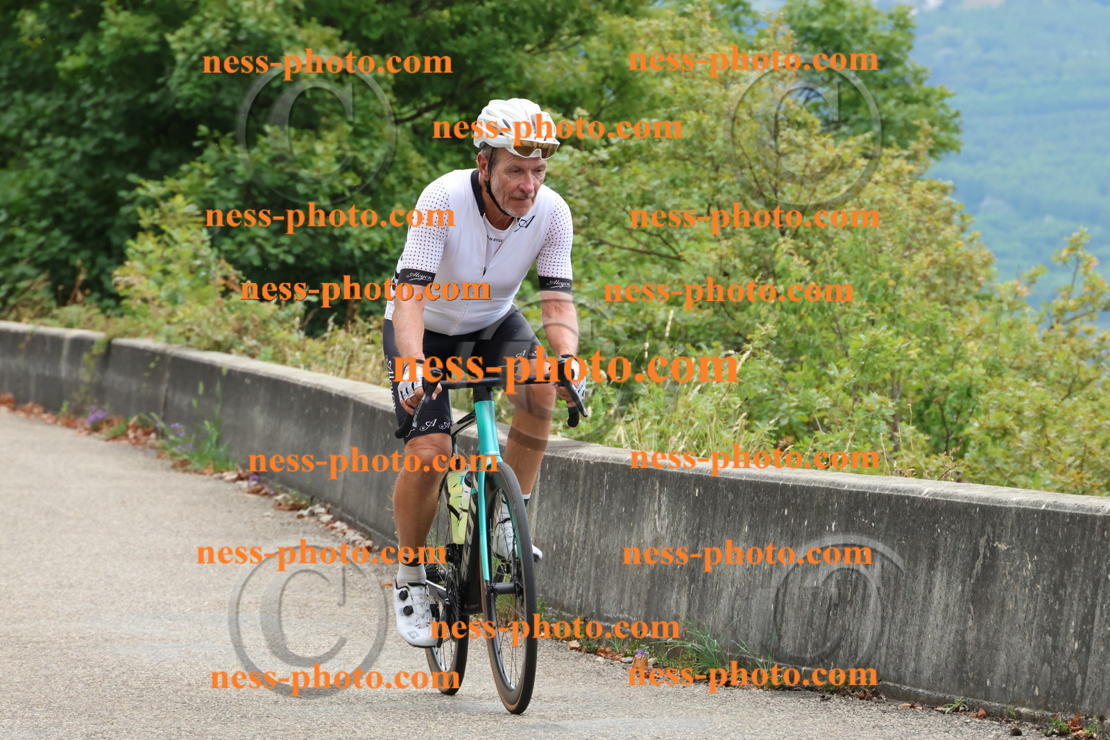 Col du Grand Colombier (176).JPG