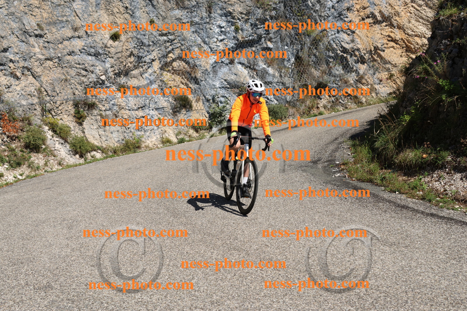 Col du Grand Colombier (420).JPG