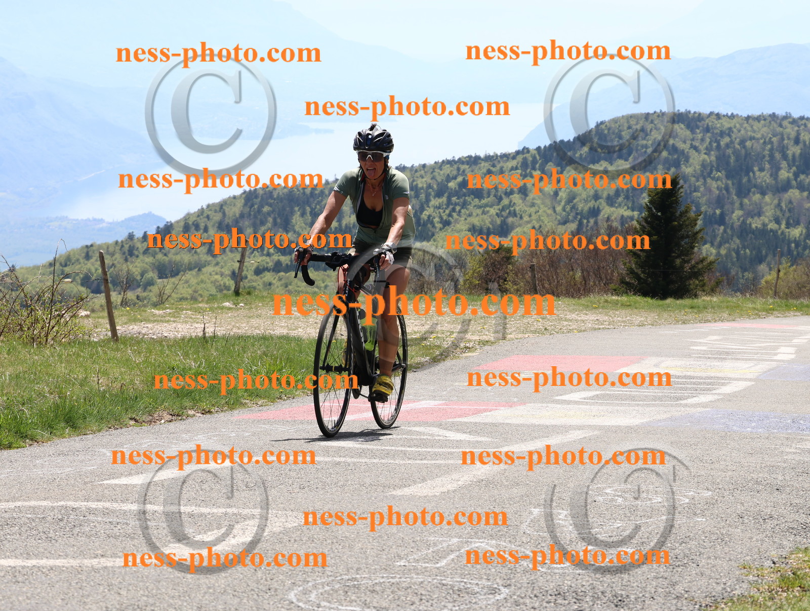 Col du Grand Colombier (502).JPG