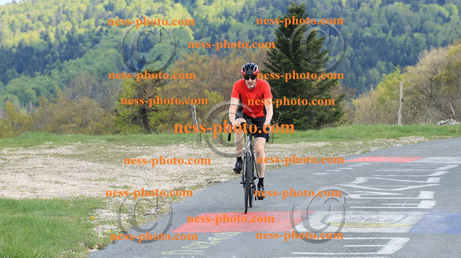 Col du Grand Colombier (3243).JPG