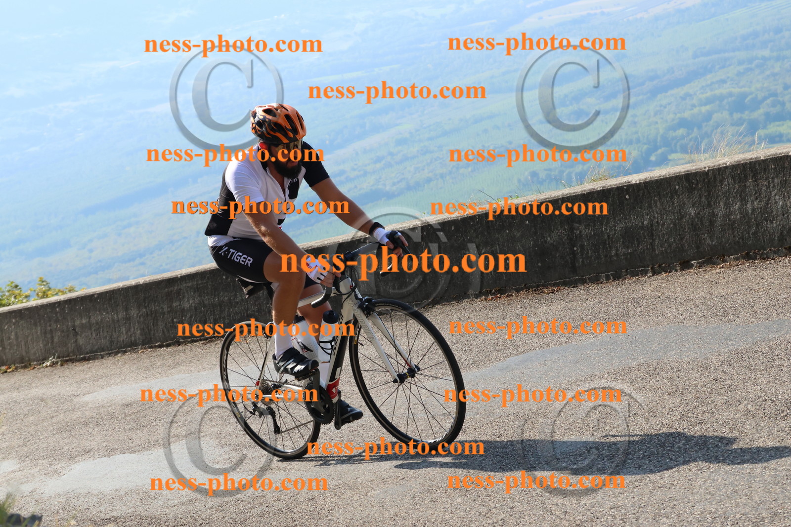Col du Grand Colombier (1265).JPG