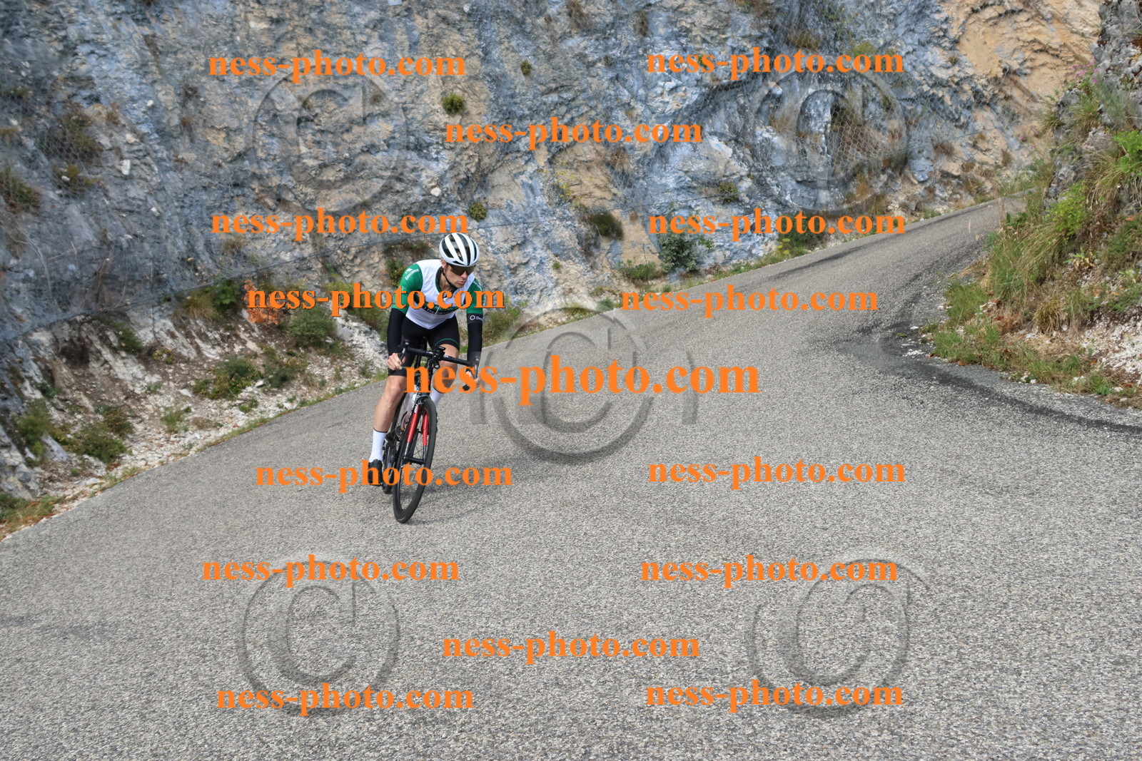 Col du Grand Colombier (725).JPG