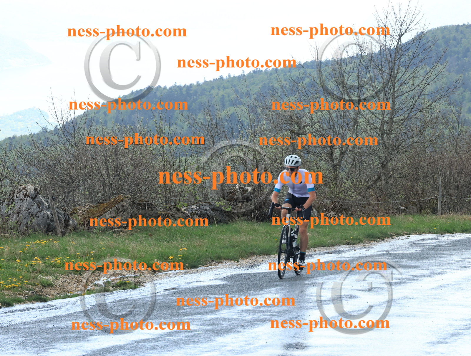 Col du Grand Colombier (241).JPG