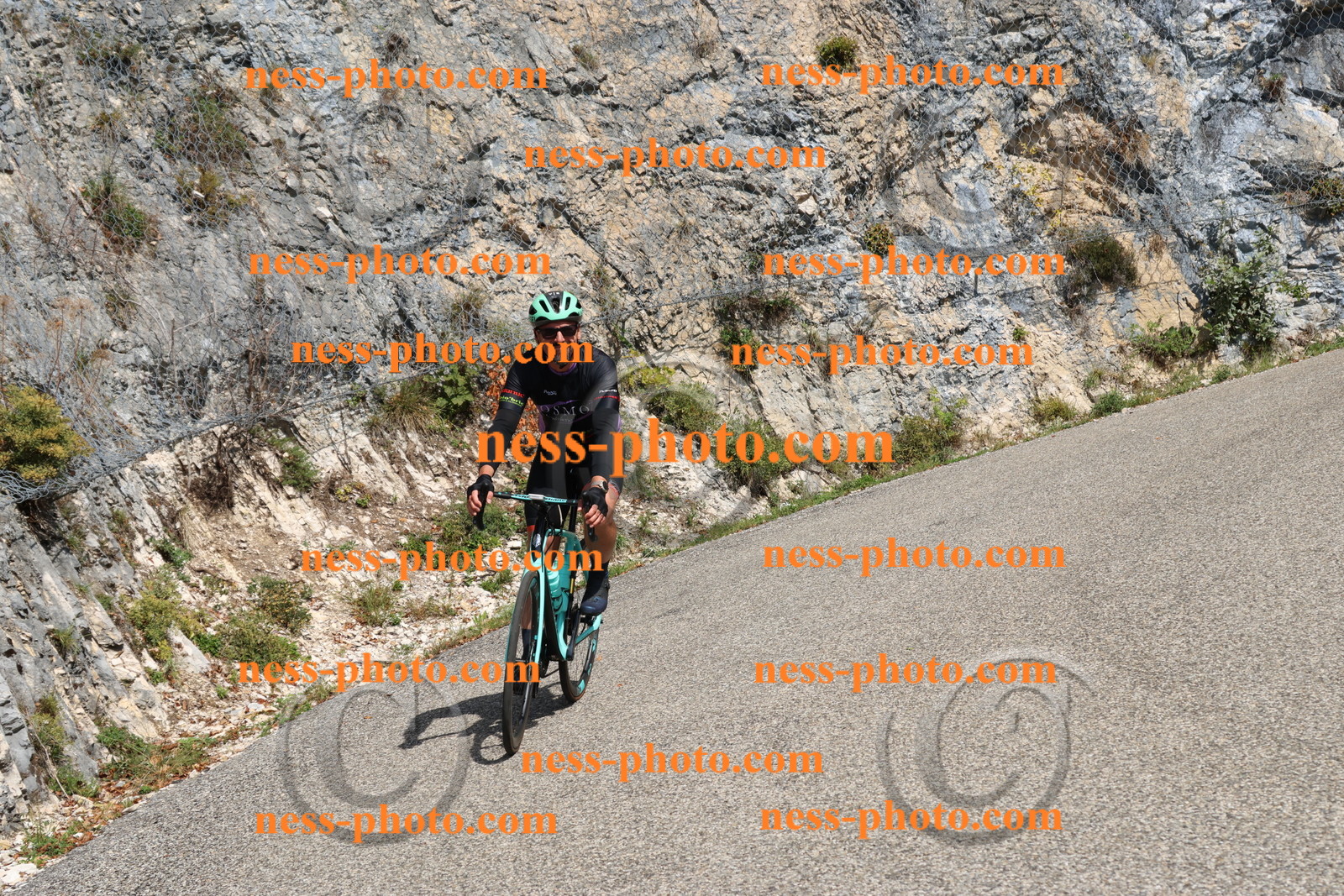 Col du Grand Colombier (449).JPG