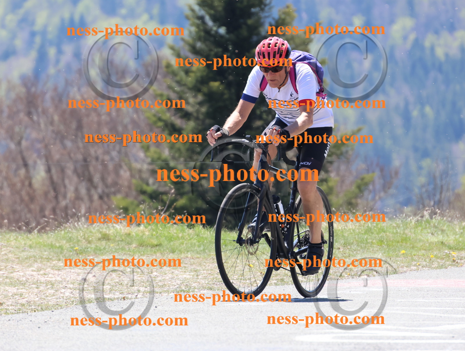 Col du Grand Colombier (421).JPG