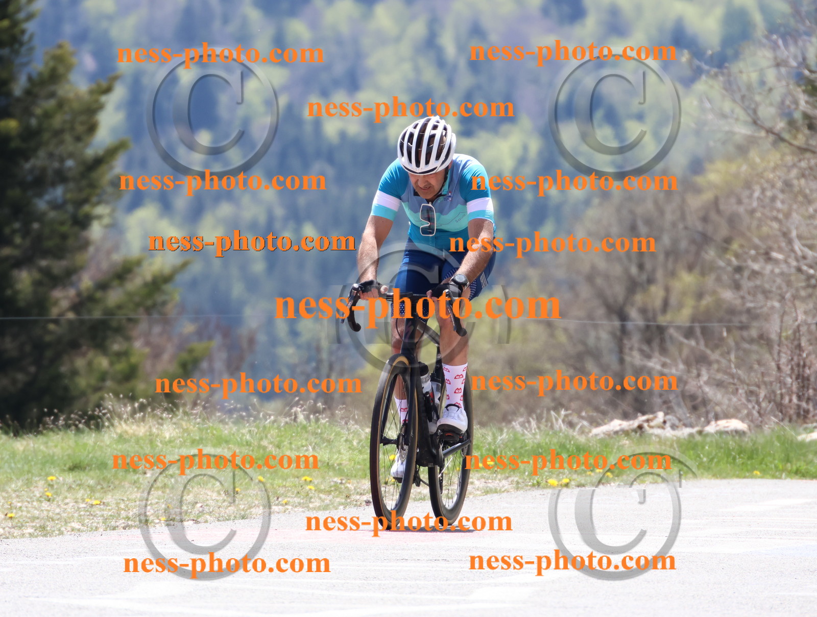 Col du Grand Colombier (559).JPG