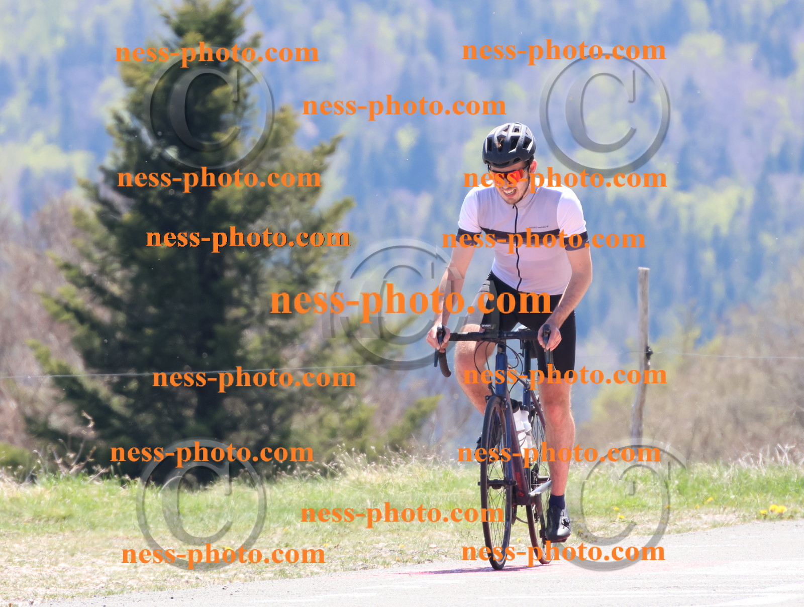 Col du Grand Colombier (720).JPG