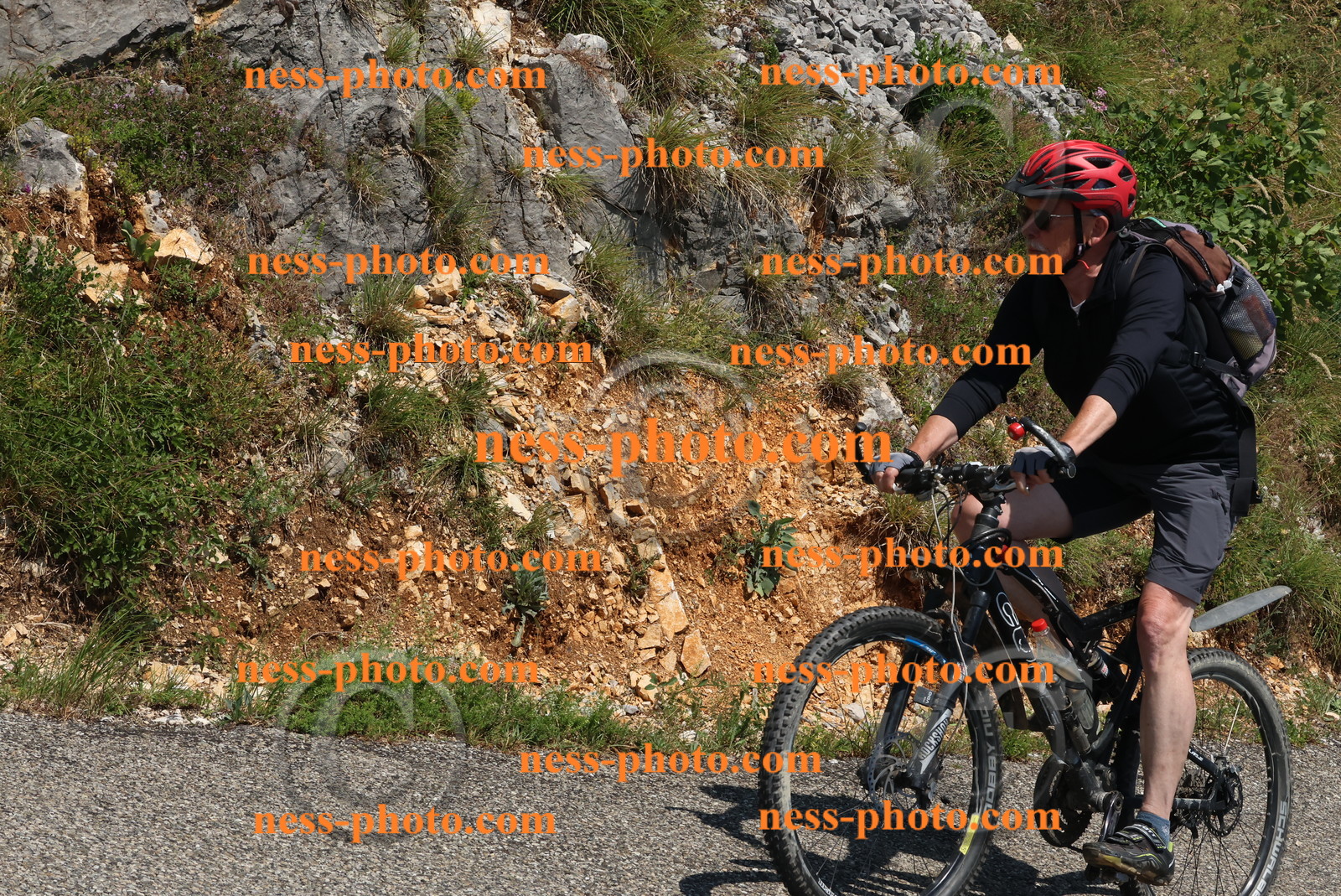 Col du Grand Colombier (492).JPG