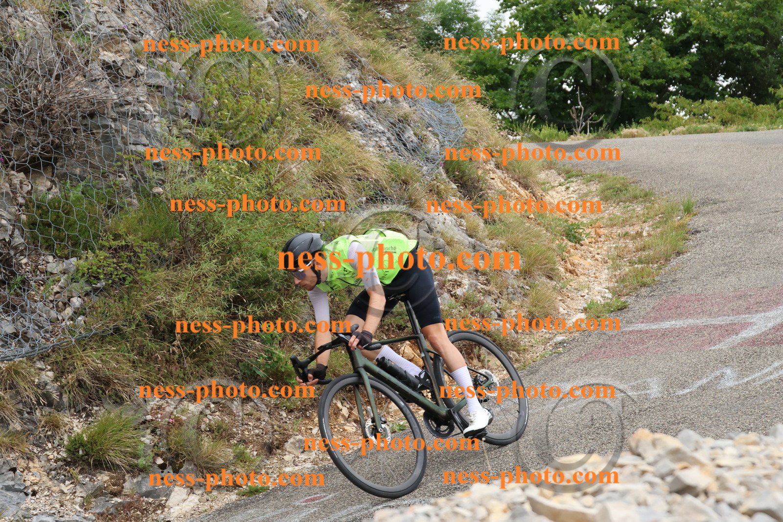 Col du Grand Colombier  (730).JPG