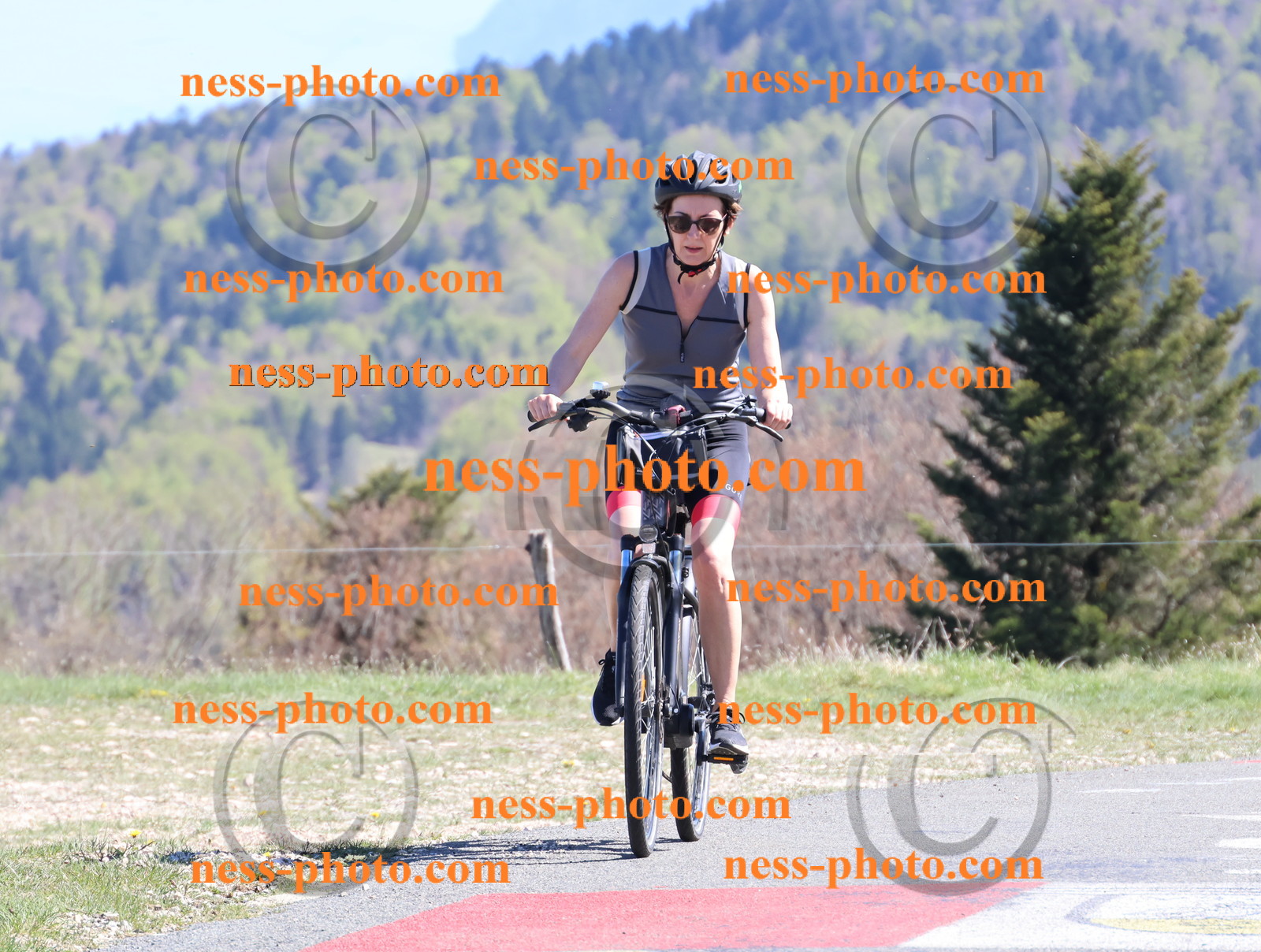 Col du Grand Colombier (1080).JPG