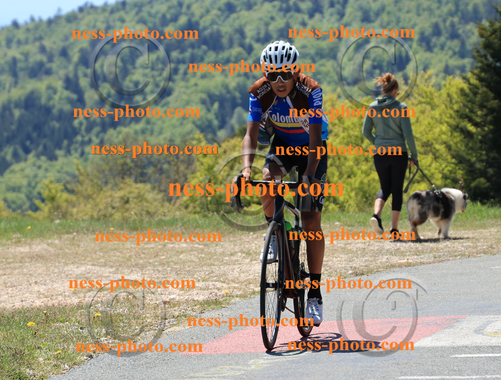 Col du Grand Colombier (153).JPG