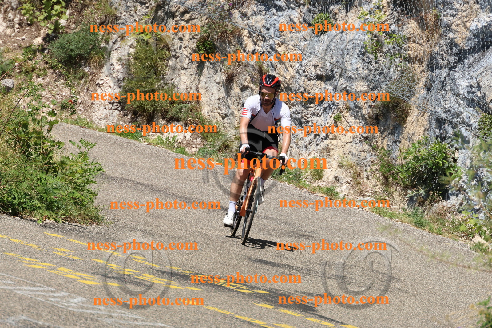 Col du Grand Colombier (493).JPG