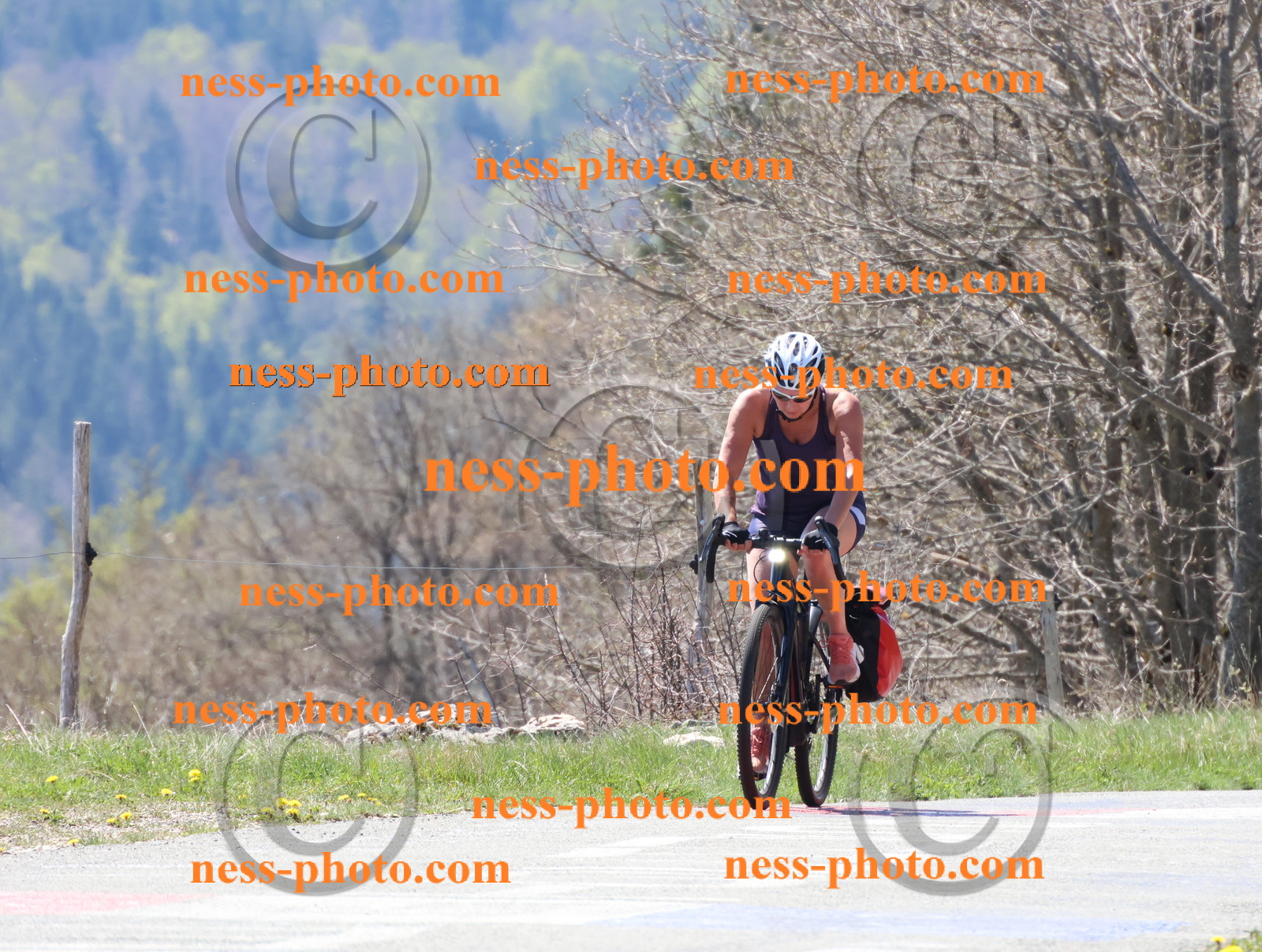 Col du Grand Colombier (267).JPG