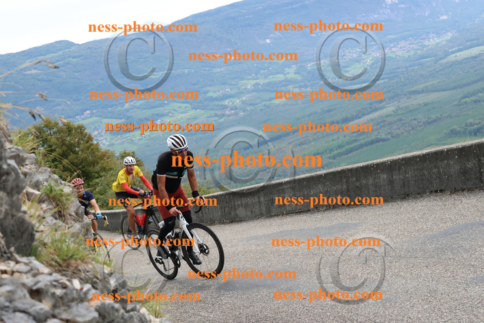 Col du Grand Colombier (595).JPG