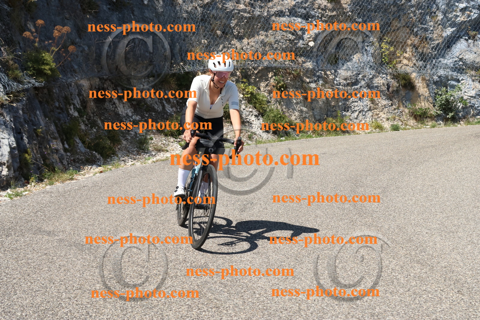 Col du Grand Colombier (615).JPG