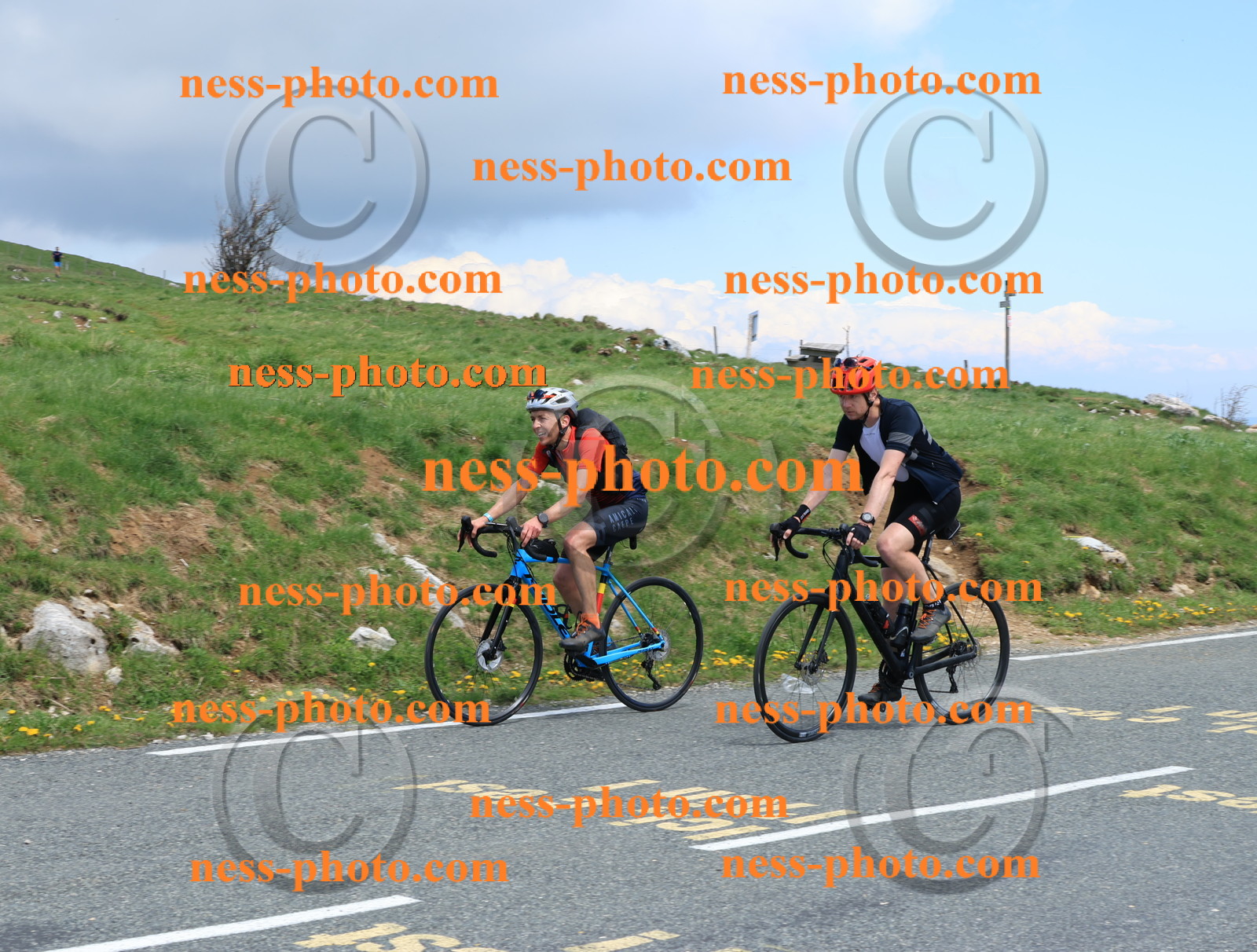 Col du Grand Colombier (2666).JPG