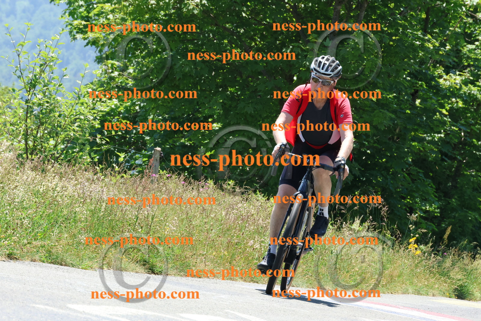 Col du Grand Colombier (119).JPG