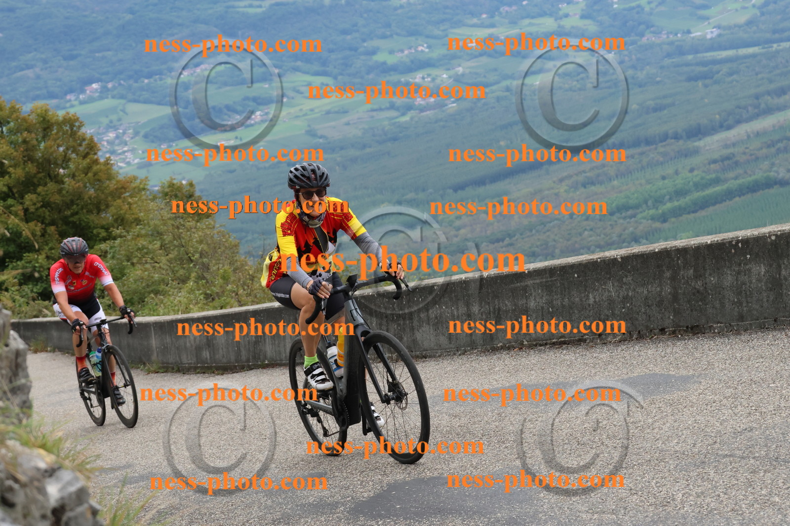 Col du Grand Colombier (1489).JPG