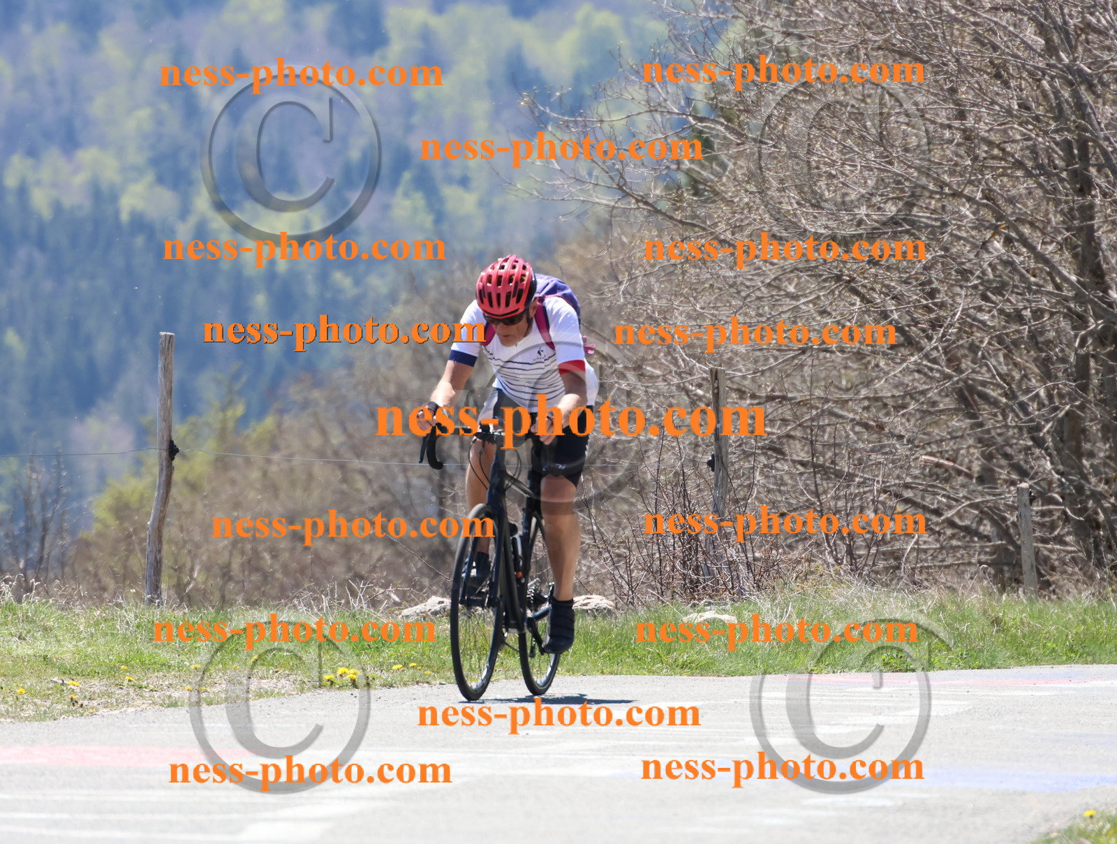 Col du Grand Colombier (418).JPG