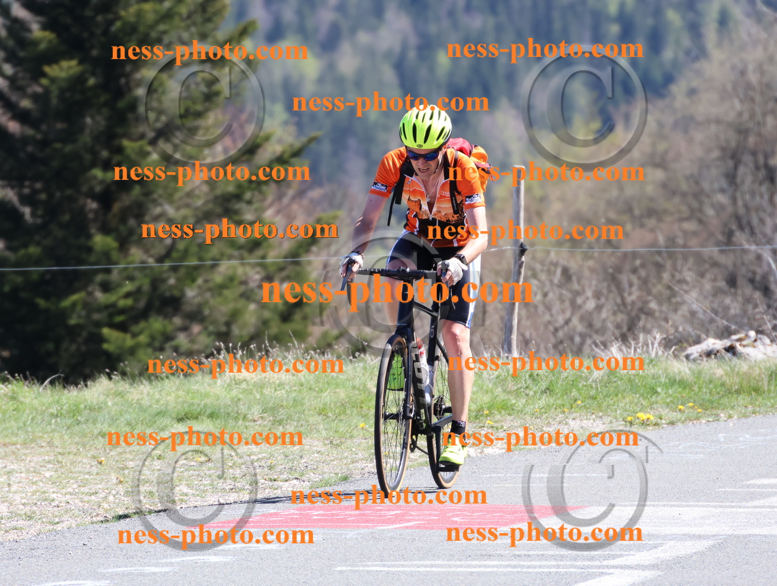 Col du Grand Colombier (1025).JPG