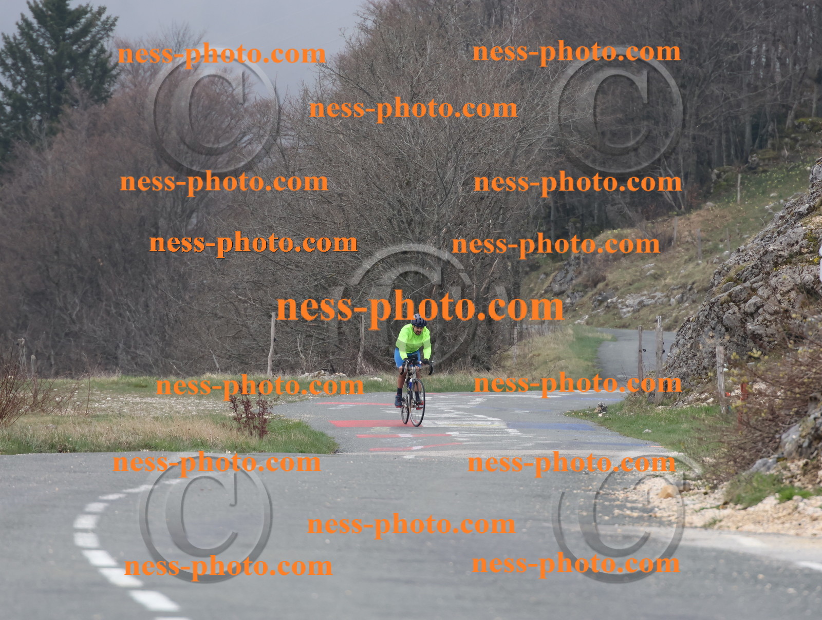 Col du Grand Colombier (6).JPG