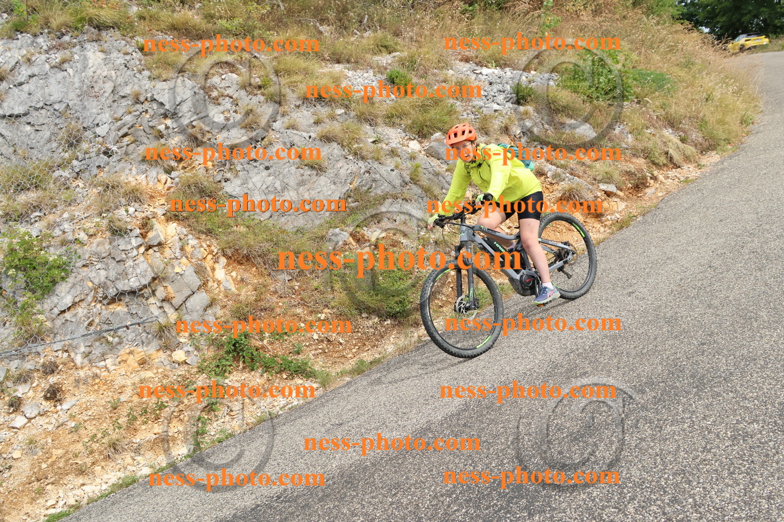 Col du Grand Colombier  (507).JPG