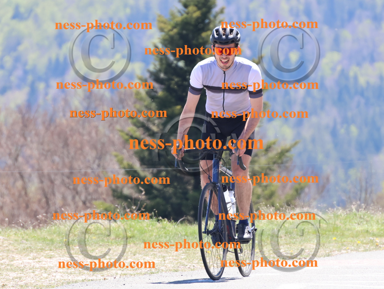 Col du Grand Colombier (722).JPG