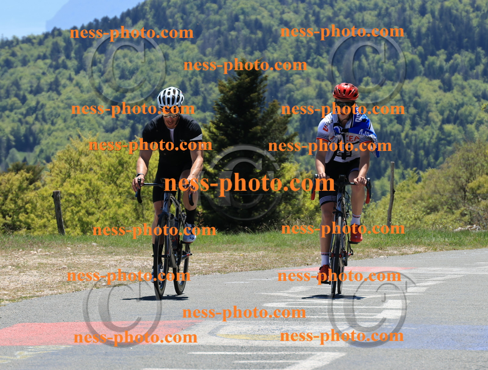 Col du Grand Colombier (383).JPG