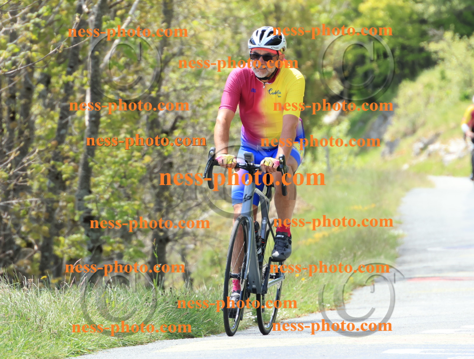 Col du Grand Colombier (202).JPG