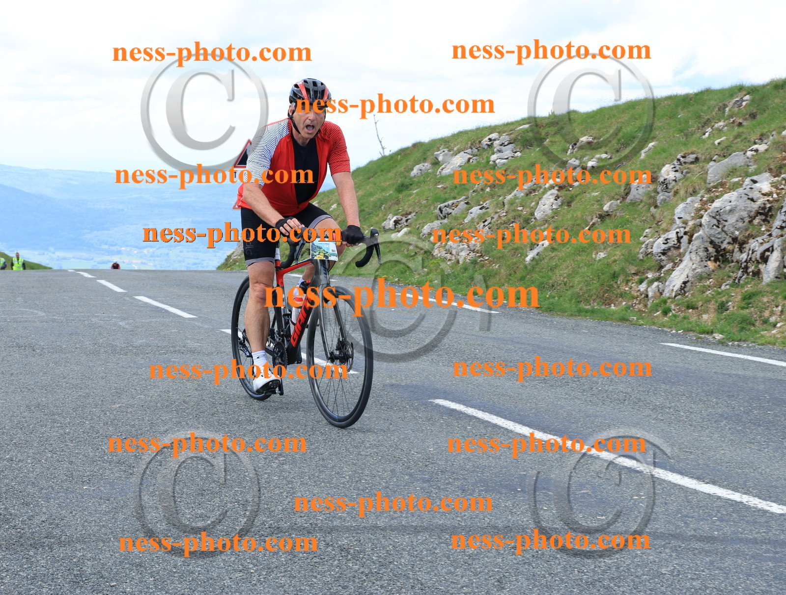 Col du Grand Colombier (2994).JPG