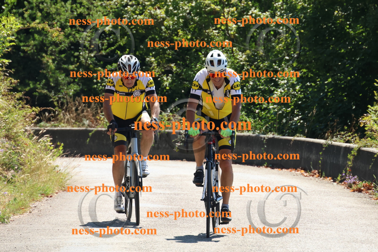 Col du Grand Colombier (126).JPG