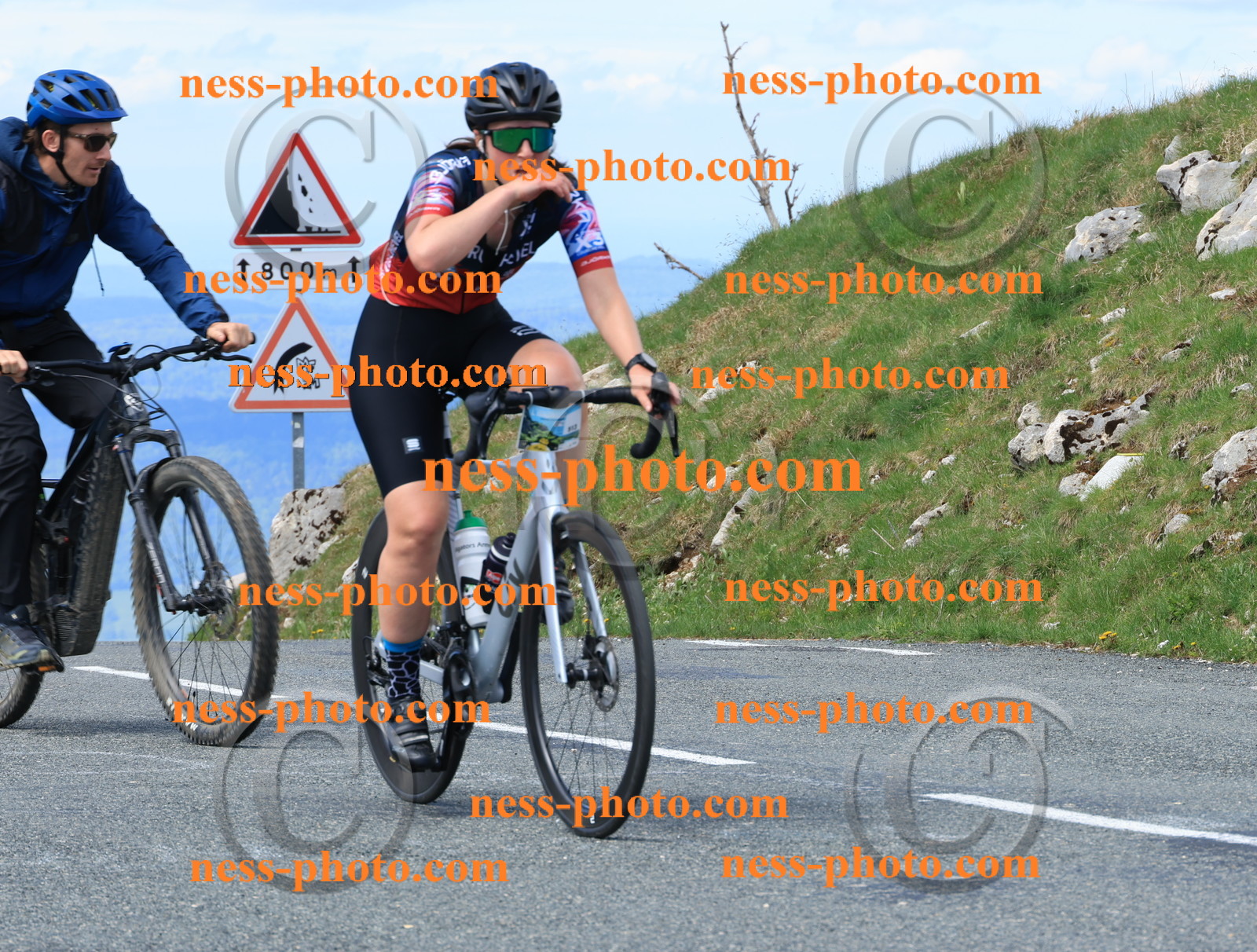 Col du Grand Colombier (2562).JPG