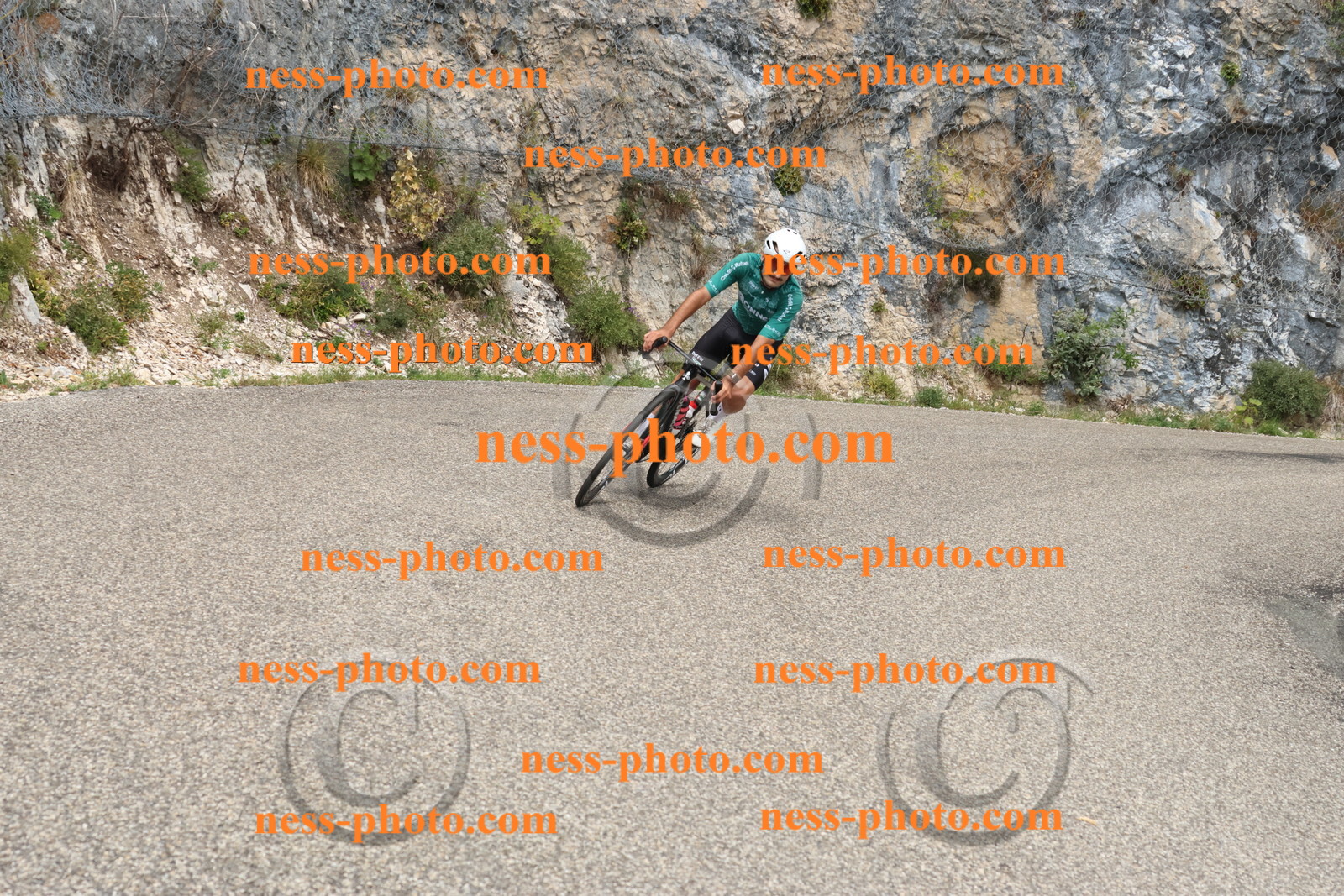 Col du Grand Colombier (347).JPG