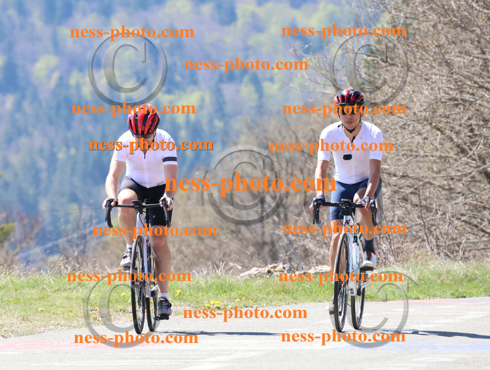 Col du Grand Colombier (146).JPG