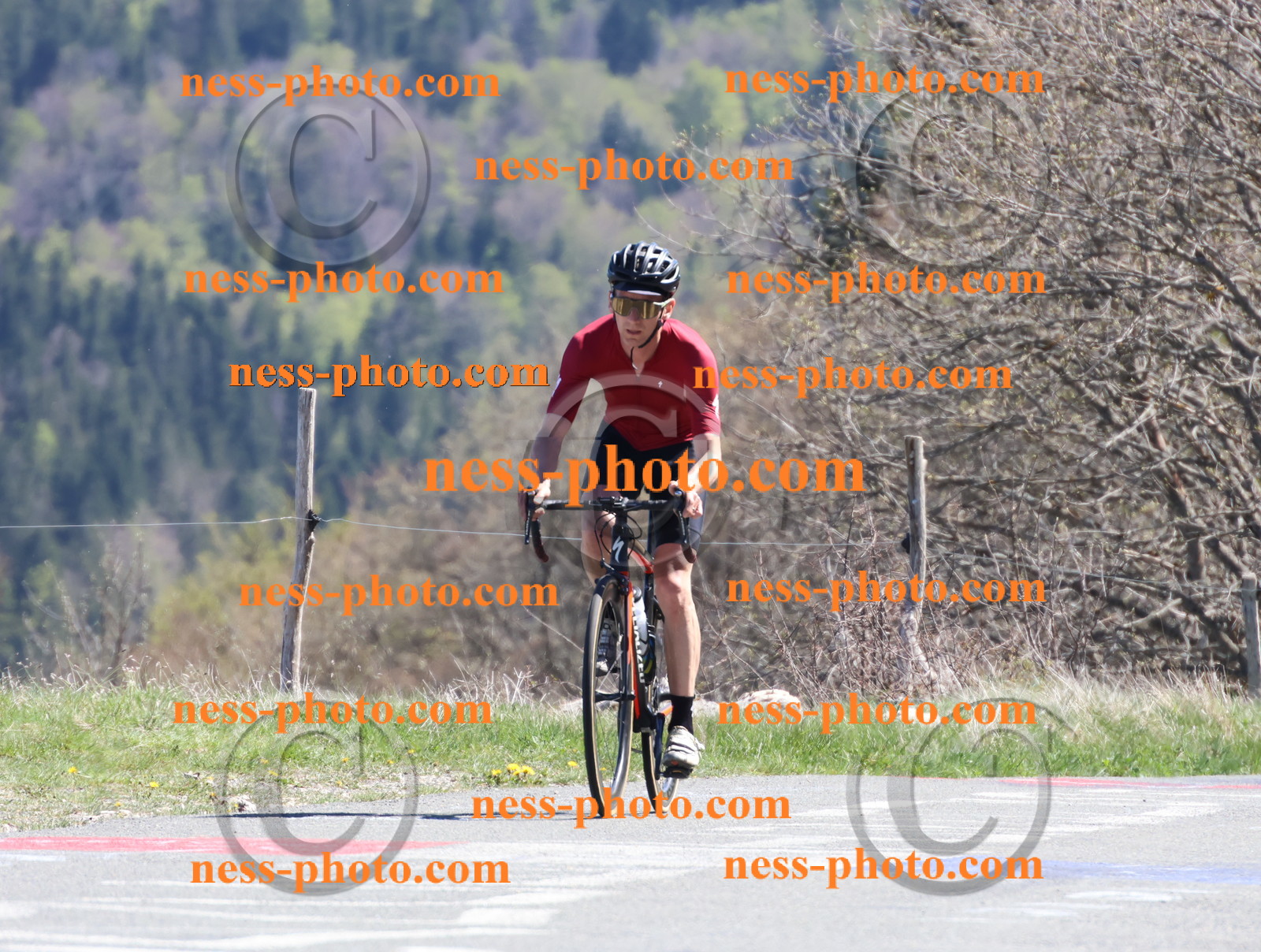 Col du Grand Colombier (1013).JPG