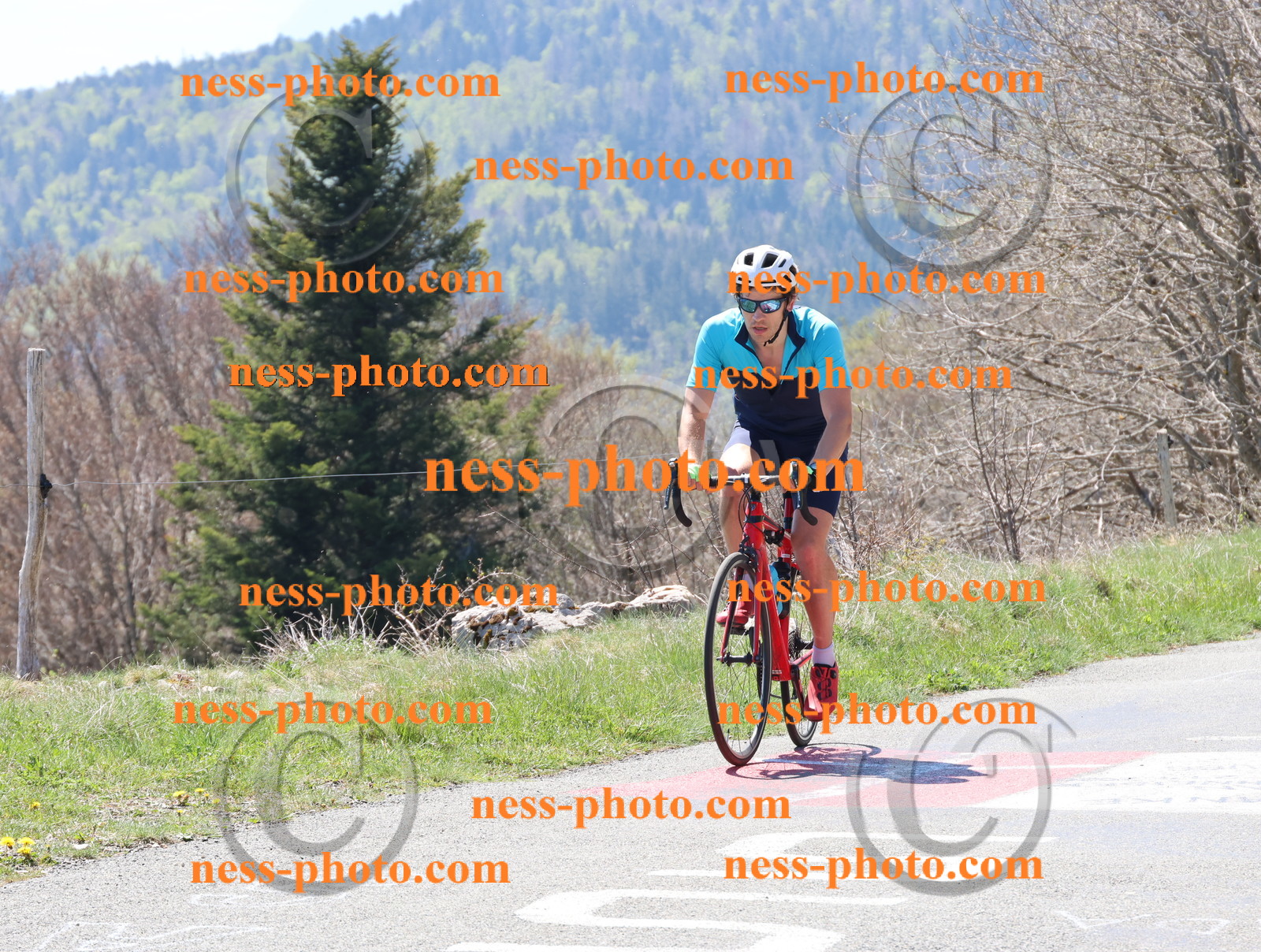 Col du Grand Colombier (320).JPG