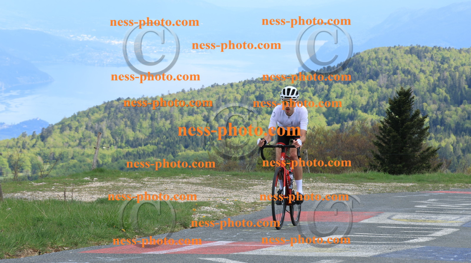 Col du Grand Colombier (3235).JPG