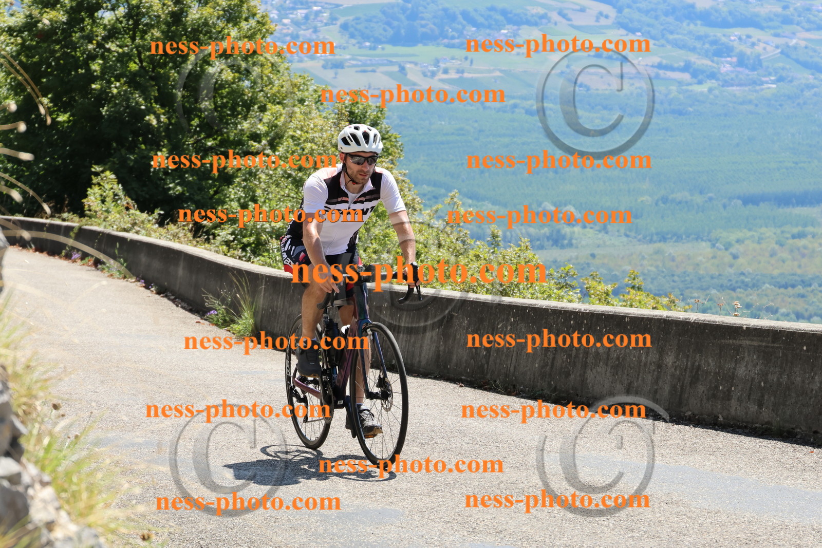 Col du Grand Colombier (306).JPG