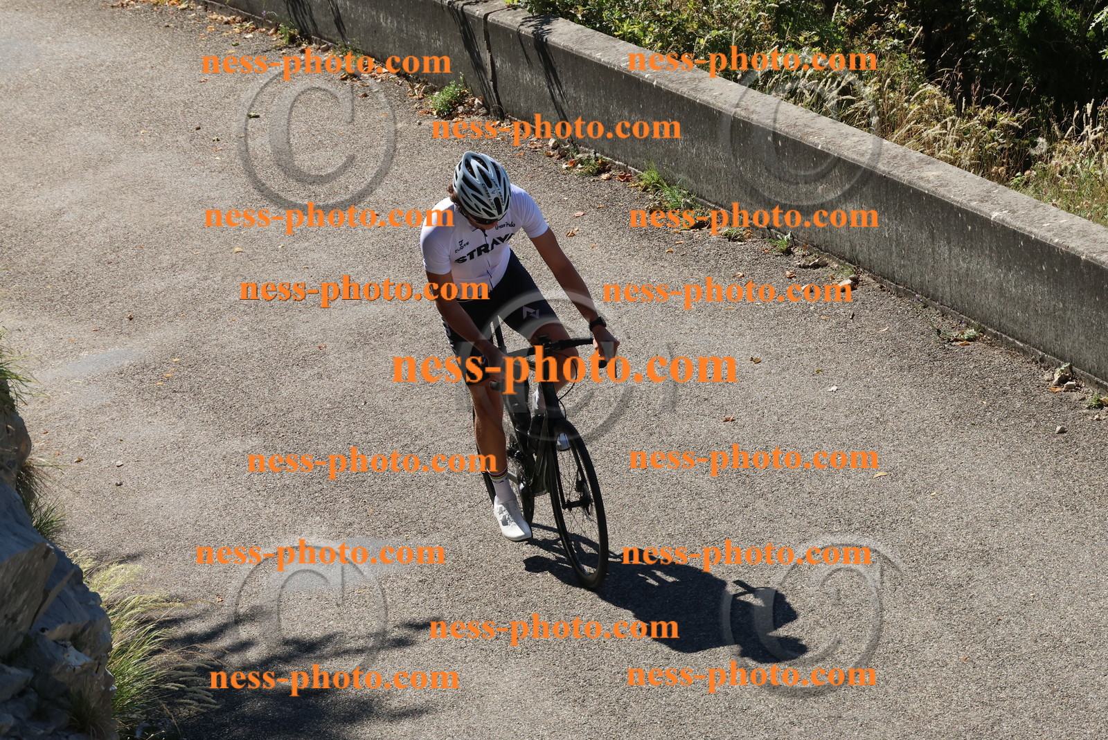 Col du Grand Colombier (178).JPG