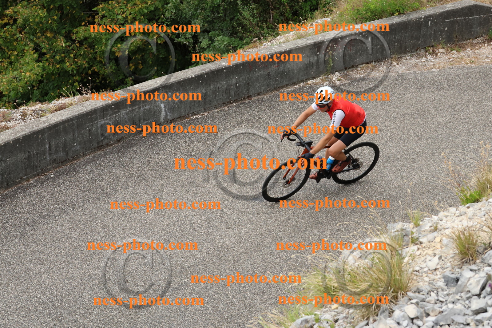 Col du Grand Colombier  (737).JPG