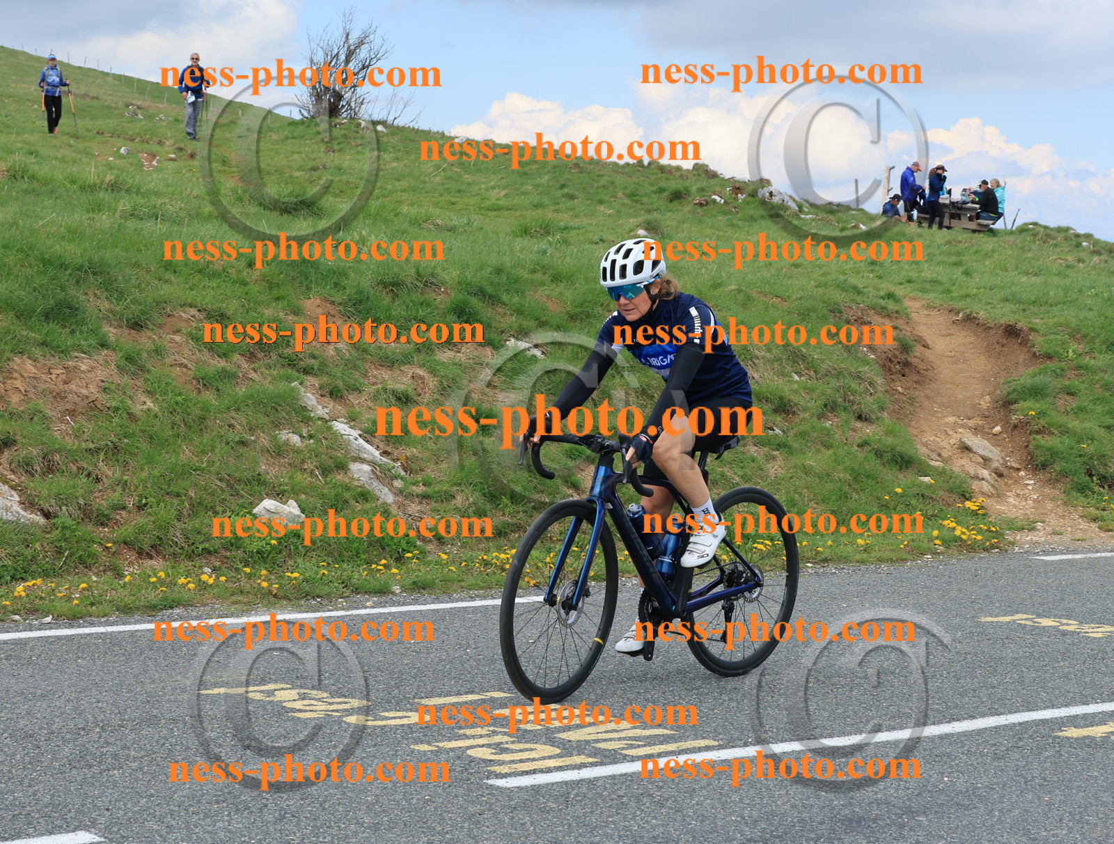 Col du Grand Colombier (3073).JPG