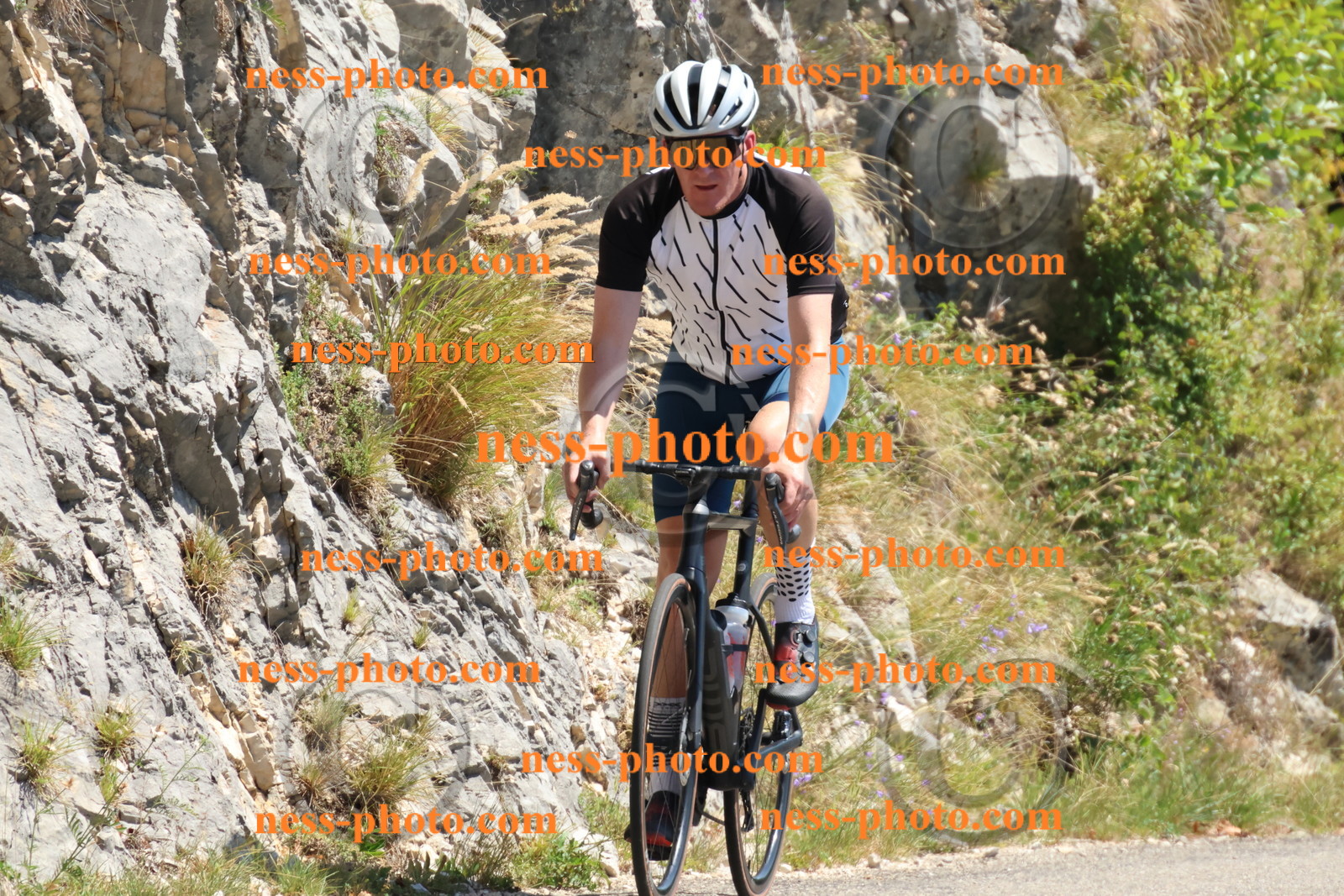 Col du Grand Colombier (496).JPG